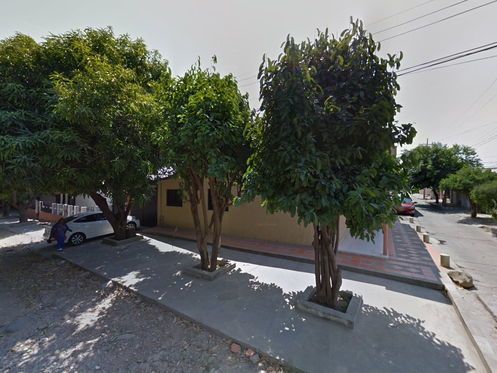 abogada Ana Dilia Fonseca Mejia — Valledupar