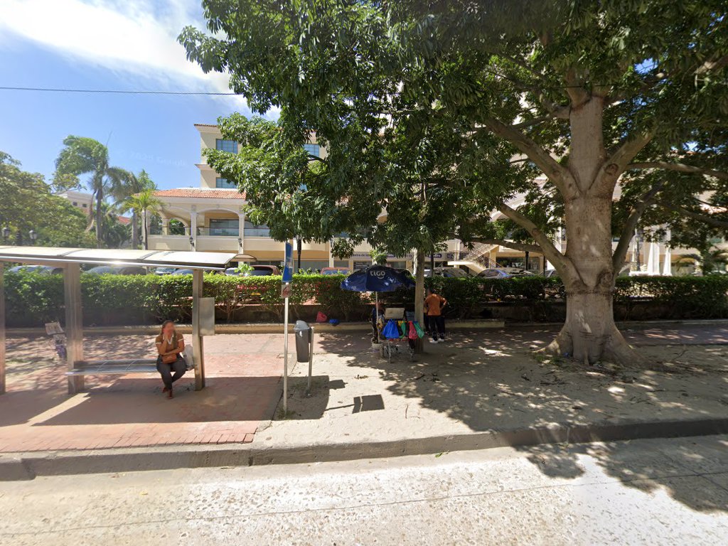 Anerol & Asociados S.A.S. — Barranquilla