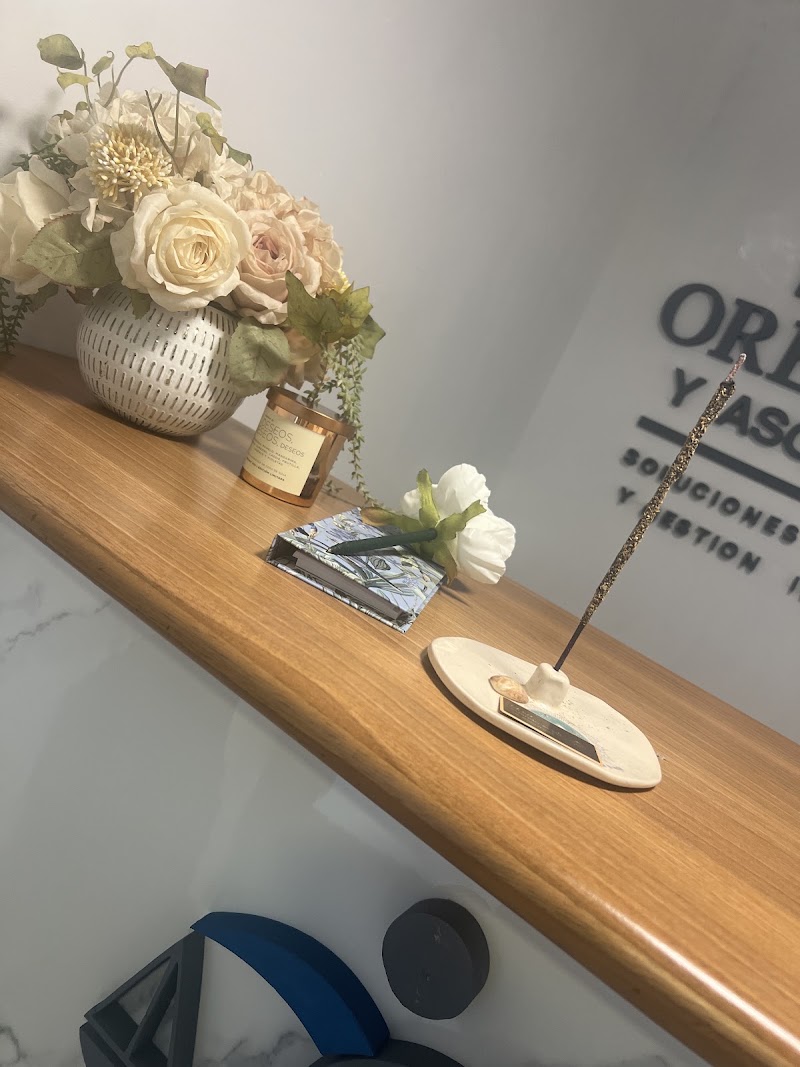 Estudio Orellana & Asociados — San Miguel