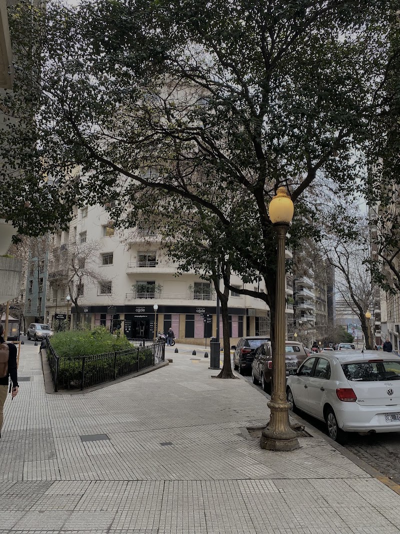 Estudio Wilson Rae, Micheli y Lagos Marmol — Buenos Aires