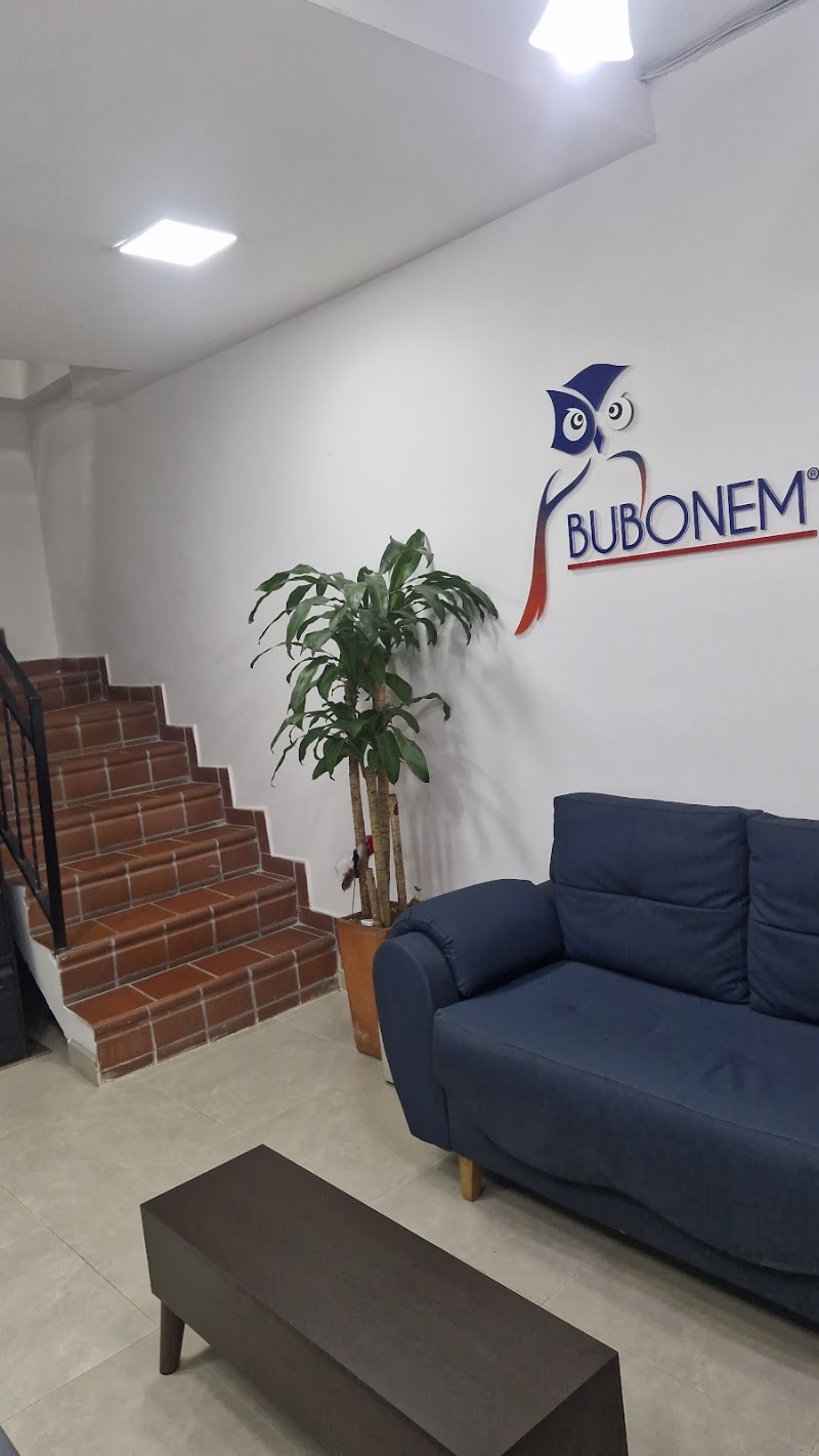 Bubonem Abogado en Casa s.a.s — Bello