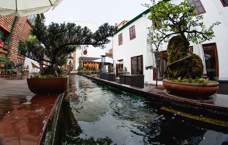 NARANJO VALLEJO ABOGADOS — Bogotá