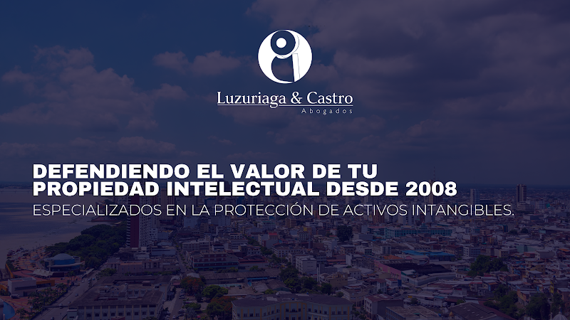 Luzuriaga & Castro Abogados Guayaquil — Guayaquil