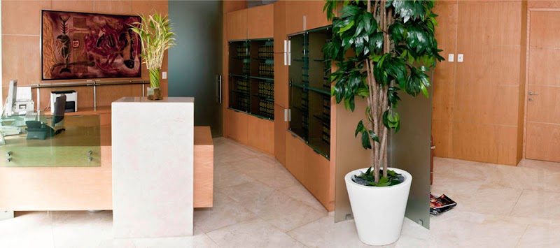 Aldave Abogados