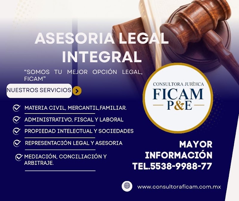 Consultora Juridica FICAM