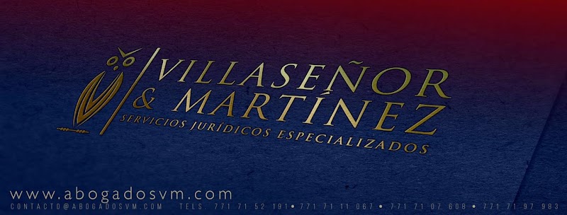 VILLASEÑOR Y MARTINEZ ABOGADOS SC