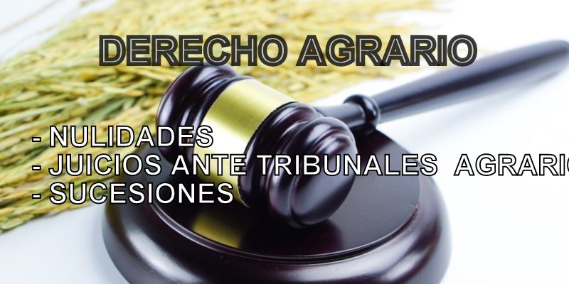 Abogados en Monterrey Soriano Y Asociados — Monterrey