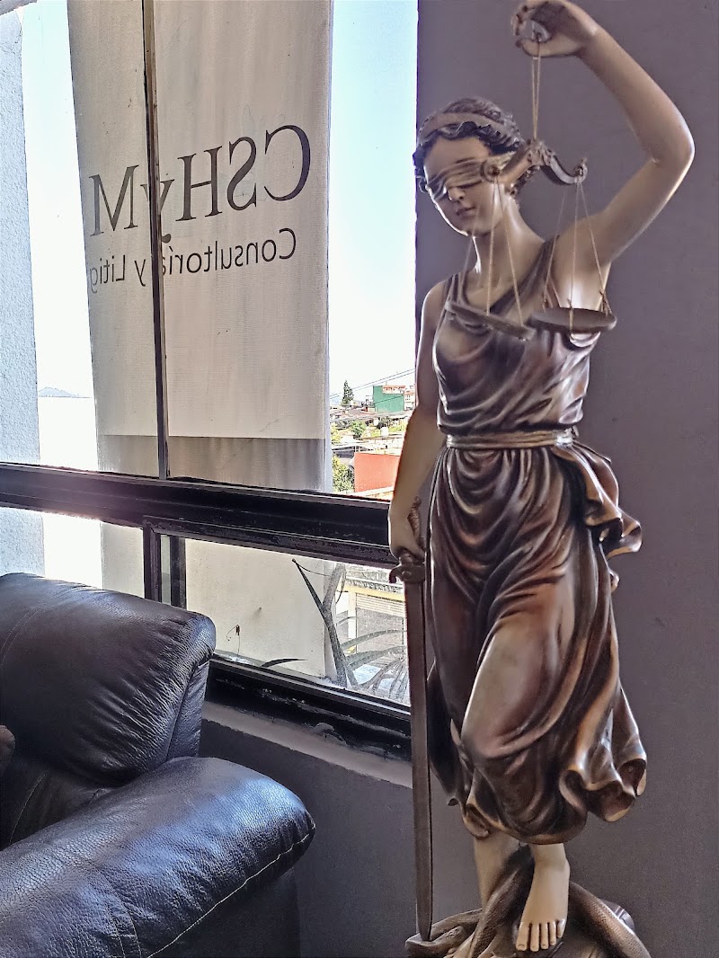 Abogados | CSHyM Consultoría y Litigio