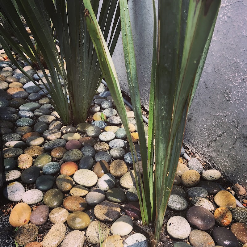 Soluciones Jurídicas — Cuernavaca