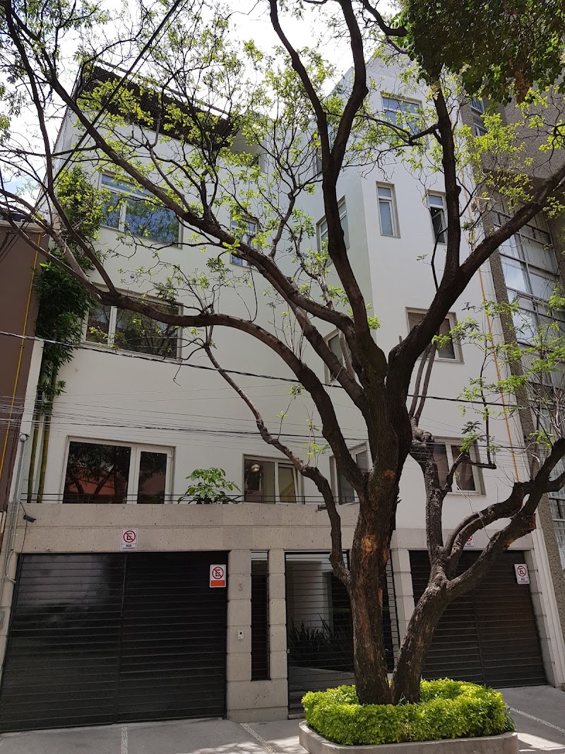 Leyva, Montenegro, Trigueros, Abogados, S.C. — Ciudad de México