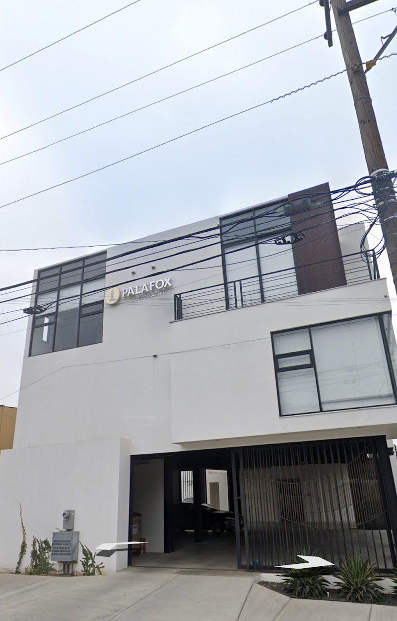CORPORATIVO PALAFOX — Ensenada