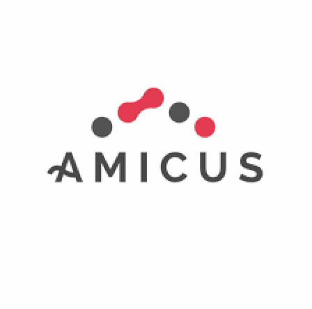 Amicus DH