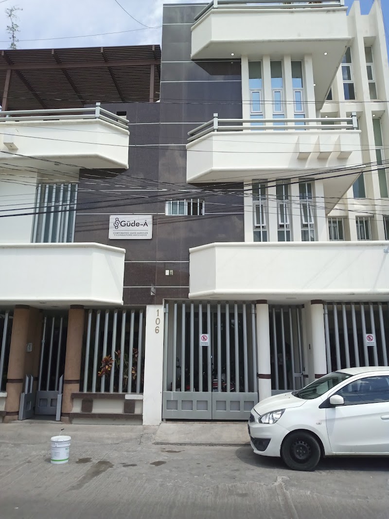Corporativo Gude Aurioles y Consultores Asociados — Irapuato