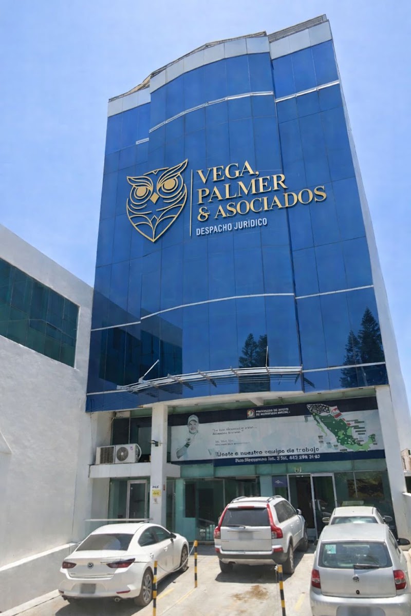 Vega, Palmer & Asociados | Abogados Familiares y Penales en Querétaro