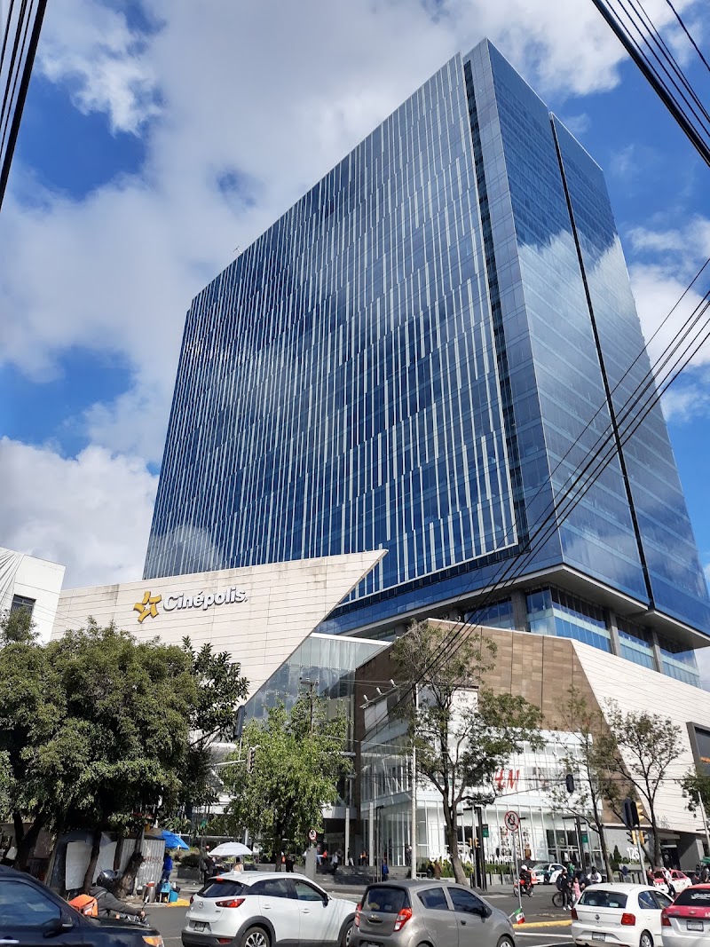 Reyes Fenig Asociados