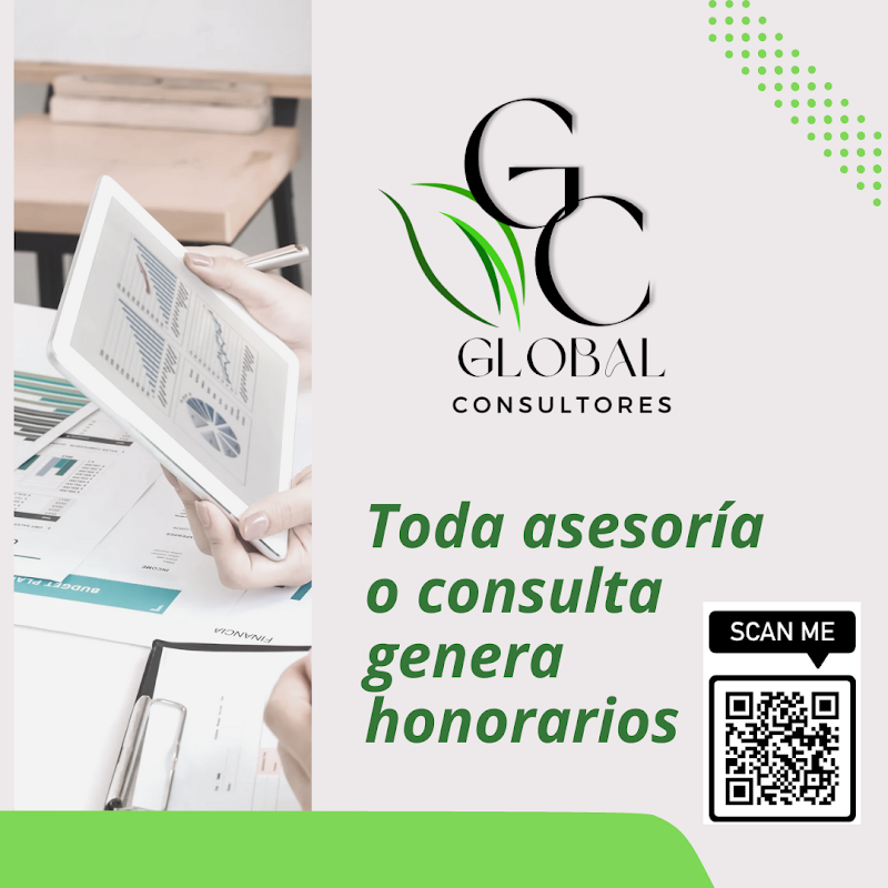GLOBAL CONSULTORES (antes DG ABOGADOS)