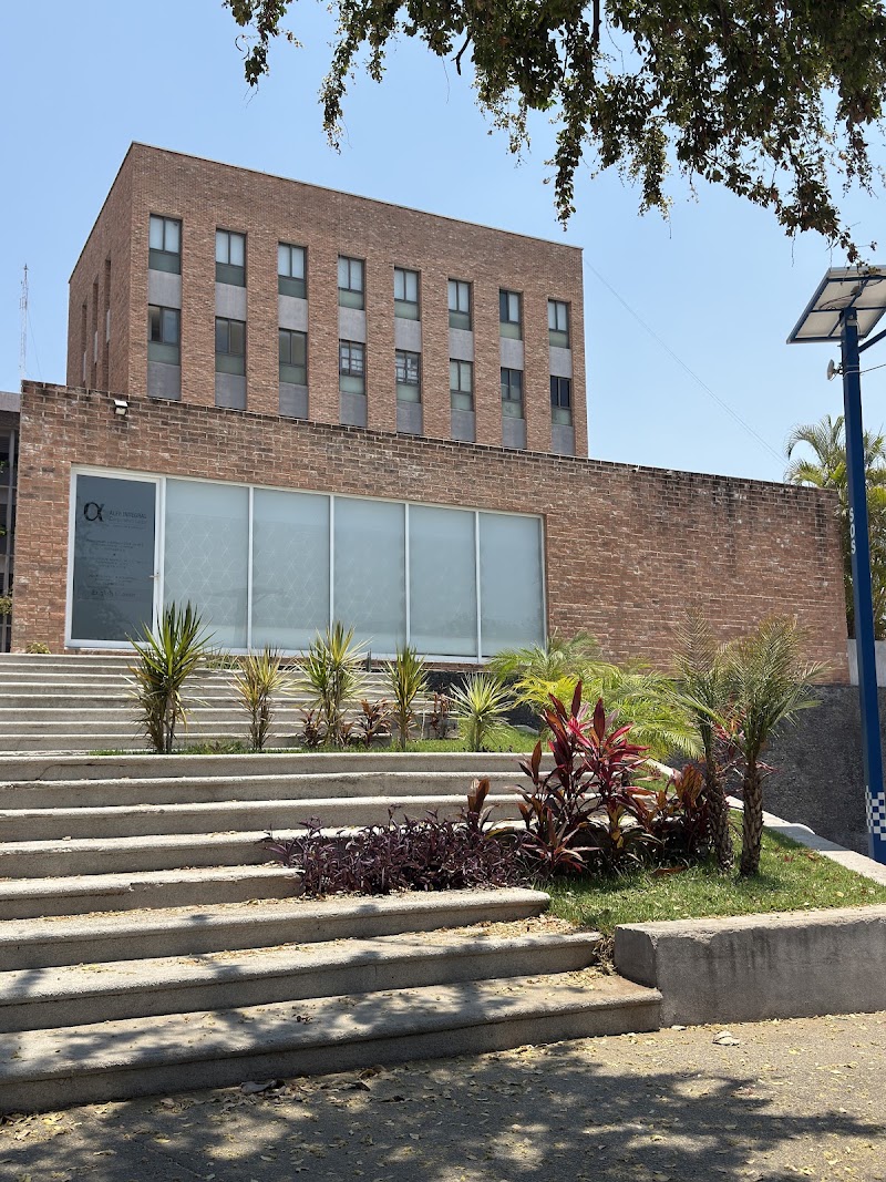 Alfa Integral Corporativo Legal — Puerto Vallarta