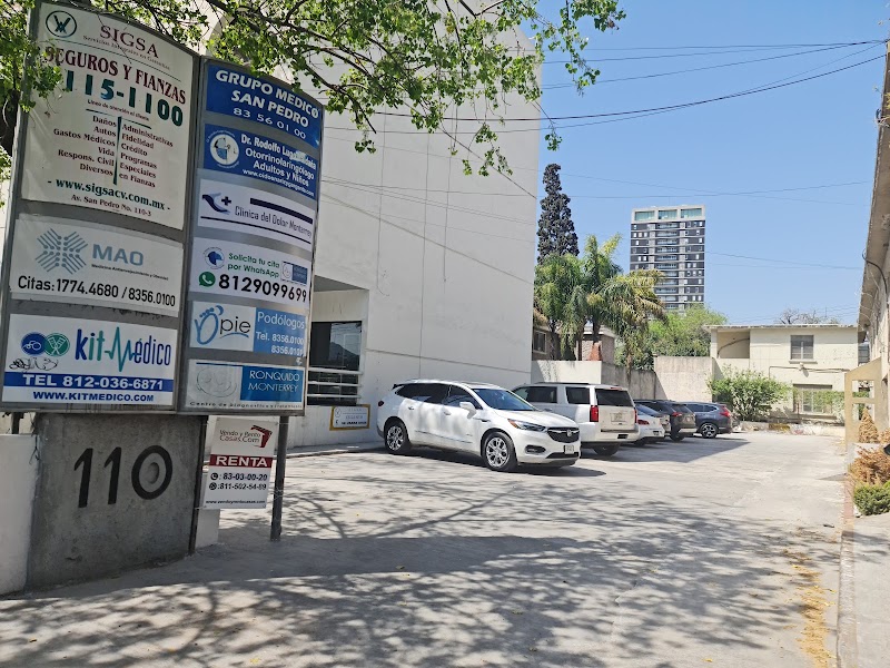 Garcia and Garza Consultants — Monterrey