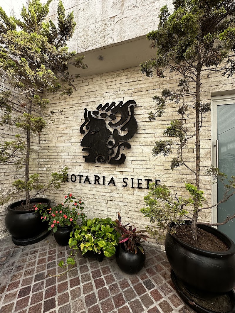 Notaría Siete