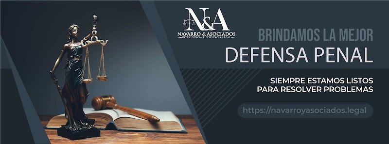 Abogados Penales Especialistas - Navarro & Asociados