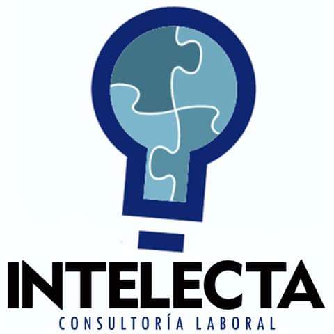INTELECTA CONSULTORÍA