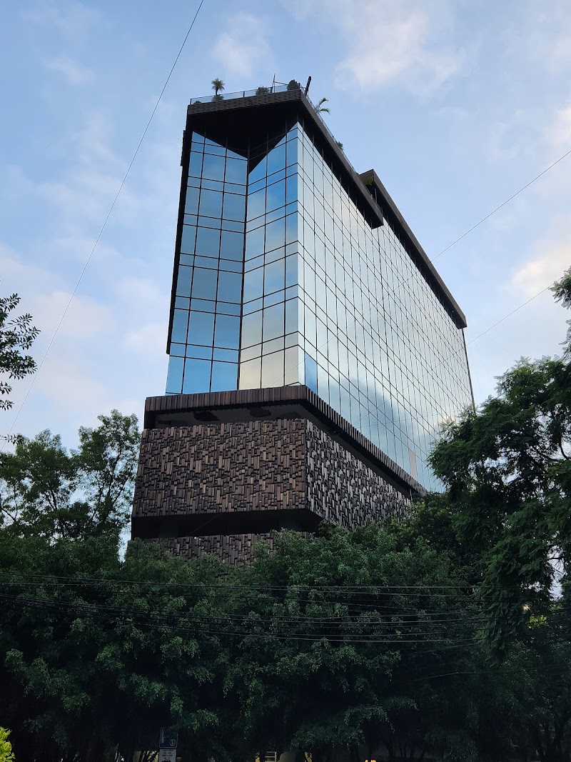 De Hoyos y Aviles Abogados