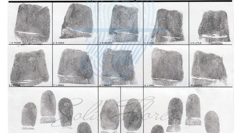 Periciales Solís Flores. Perito en Grafoscopia, Documentoscopia, Dactiloscopia, Audio, Video, Fotografía, Informática y más.