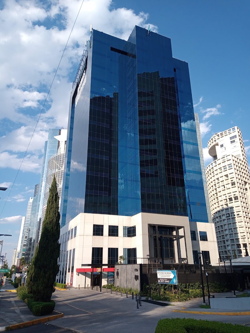 Arias y Meurinne, S.C.