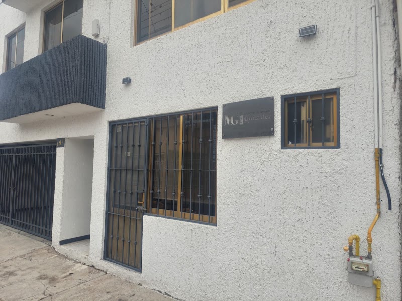 Abogado Mario Ernesto González González — Irapuato