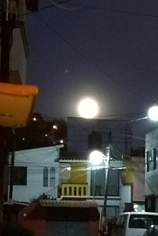 Tequio Jurídico A.C.