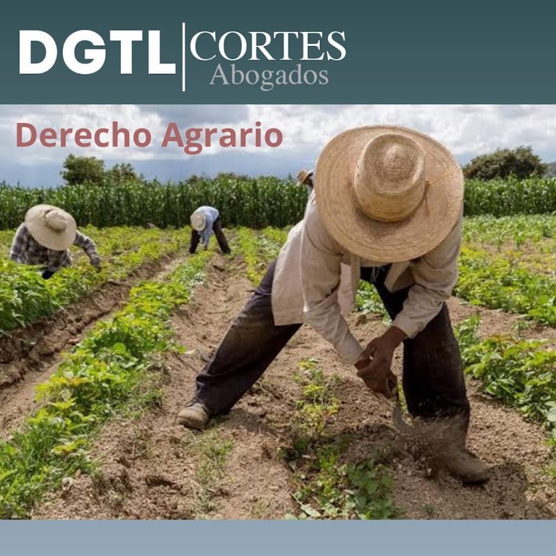 DGTL ABOGADOS Y CONSULTORES — Morelia