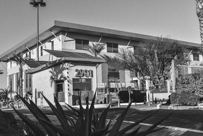 Abogados, Oak Legal Group