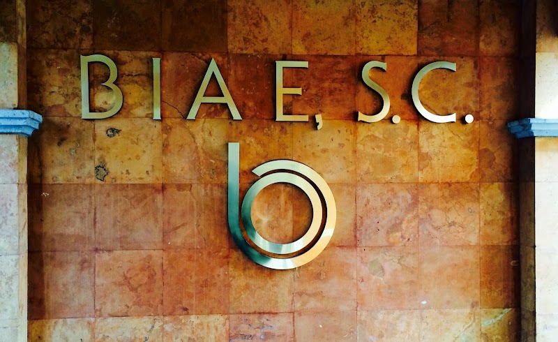 Bufete de Integracion de Asesores Empresariales