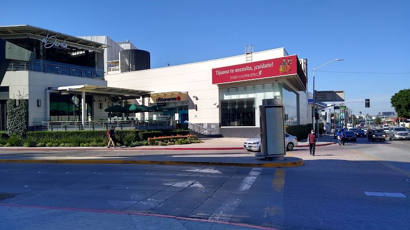 JM Gutiérrez Buseli — Tijuana