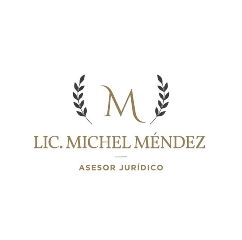 Lic Michel Mendez