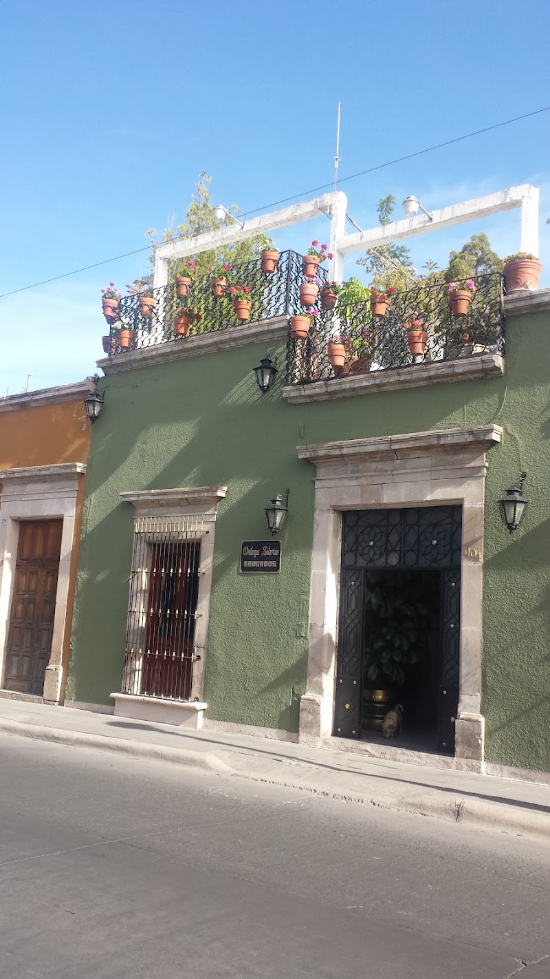 Fernando Ortega Silerio/Olga Fernanda Ortega Mejorado
