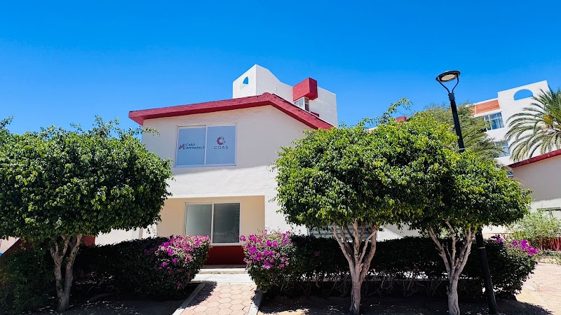 COAS ABOGADOS — Cabo San Lucas