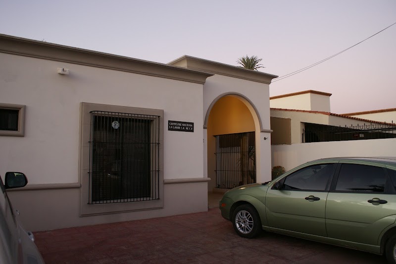 Tellez Ulloa S.C.