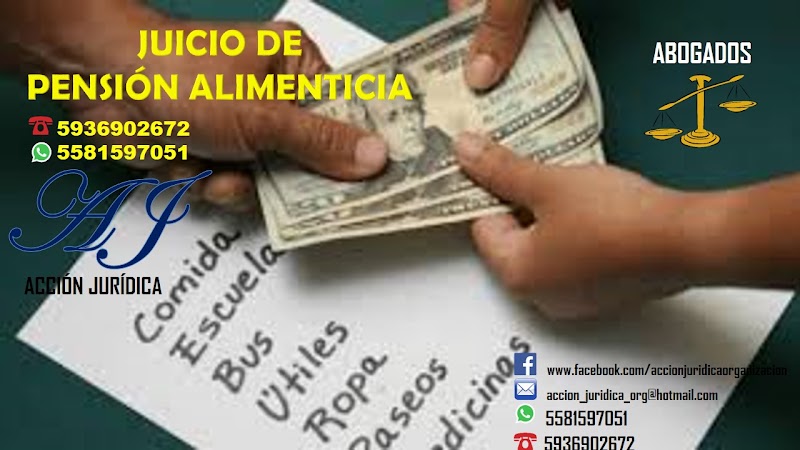 Acción Jurídica