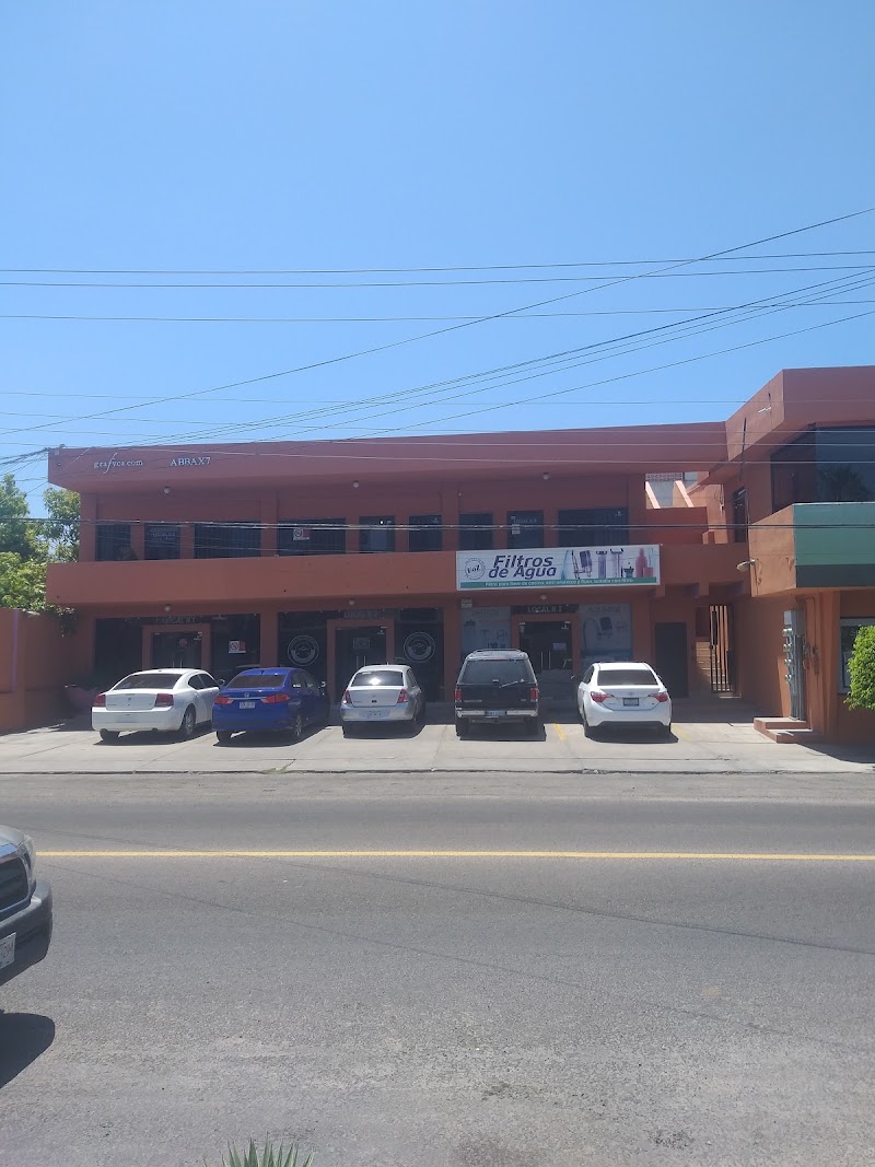 González Gallo y Asociados S.C.