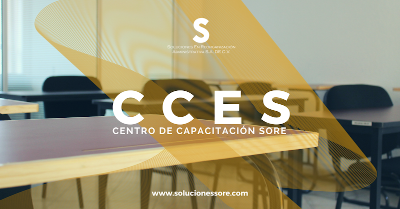 Soluciones en Reorganización Administrativa S.A. de C.V. (SORE)