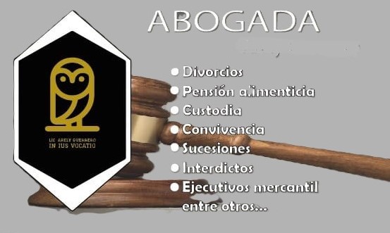DESPACHO JURIDICO IN IUS VOCATIO
