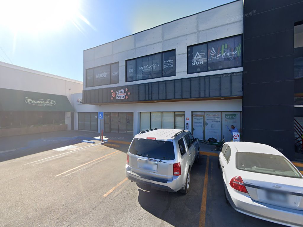 VITAL LEGAL SERVICES — Mexicali