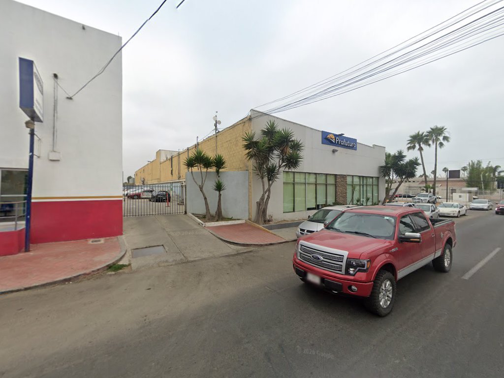 Núñez Consultoría Legal — Ensenada