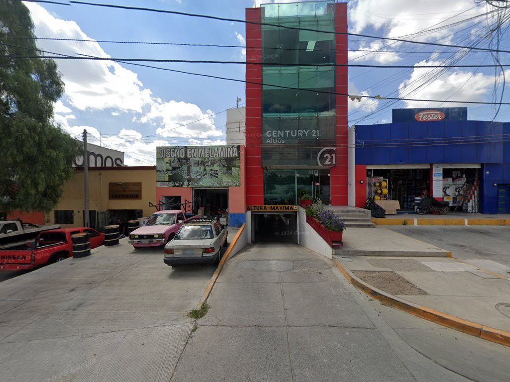 JD GLOBAL CONSULTING | JANET DORANTES — Aguascalientes