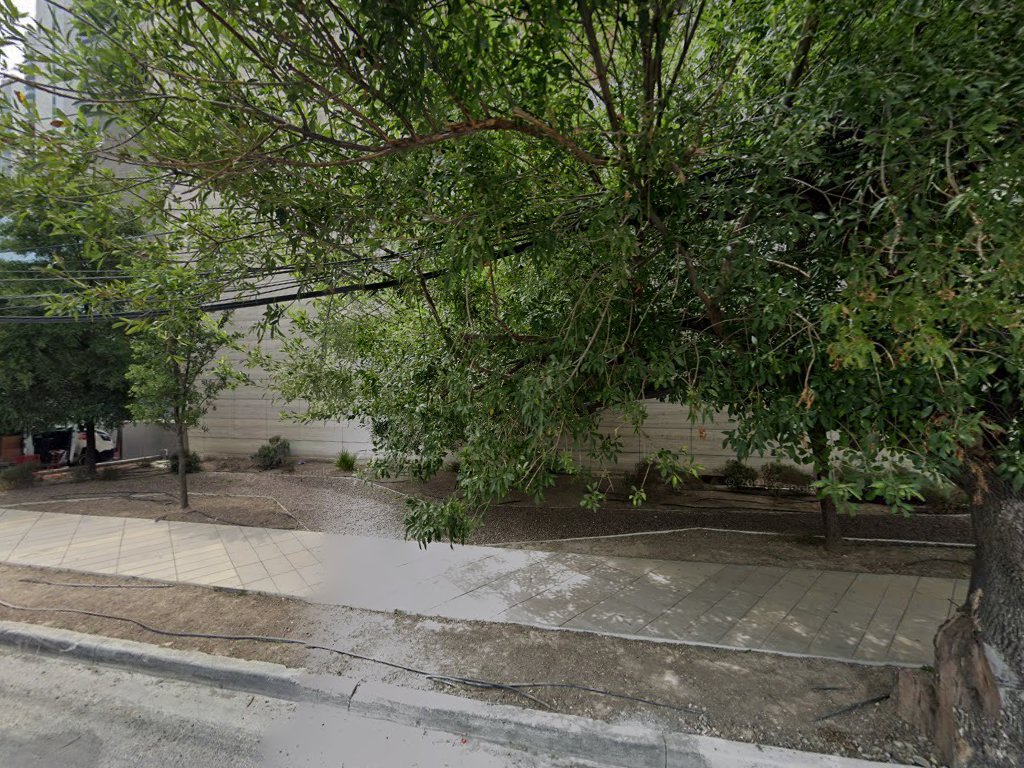 Salinas y Salinas Abogados, S.C. — San Pedro Garza García