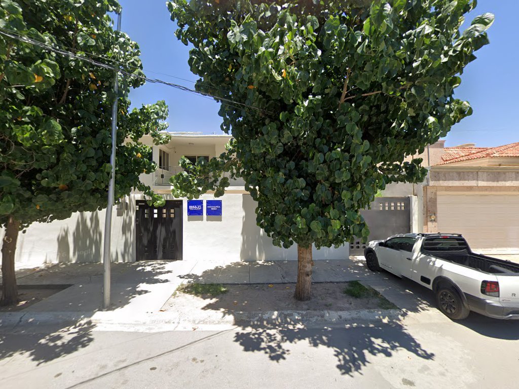 Bmg Legal Strategies — Torreón