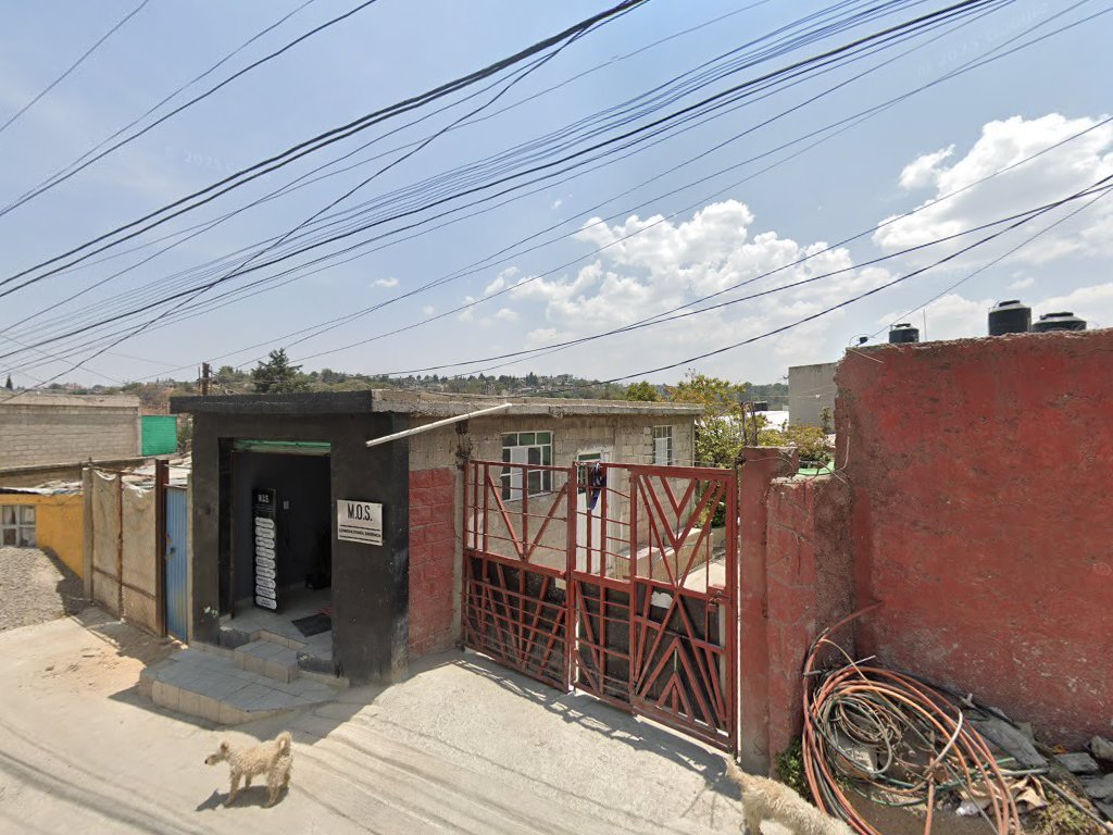 Consultoría Jurídica M.O.S,