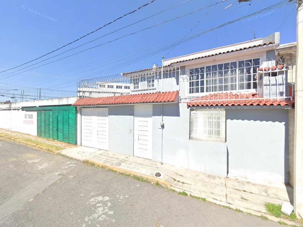 Peritos Expertisse — Metepec