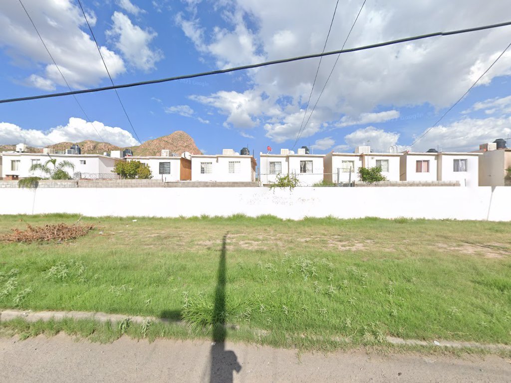 damelavisa — Chihuahua